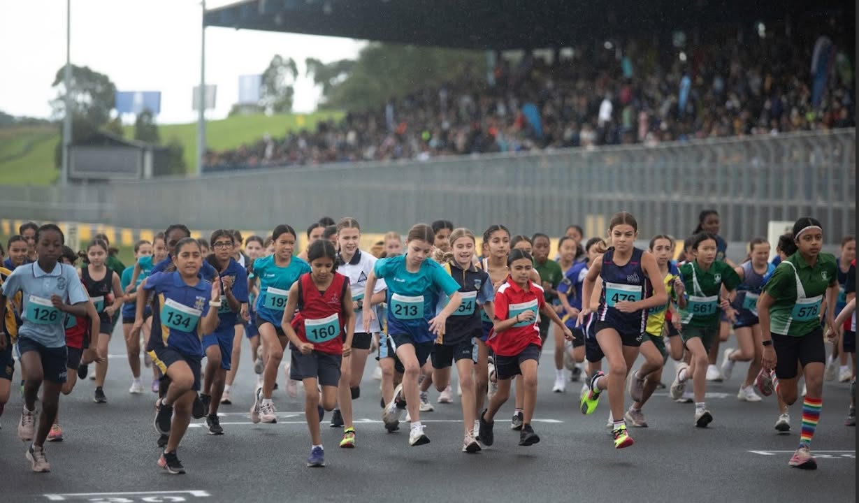 771790824743774_1195159222406930-1