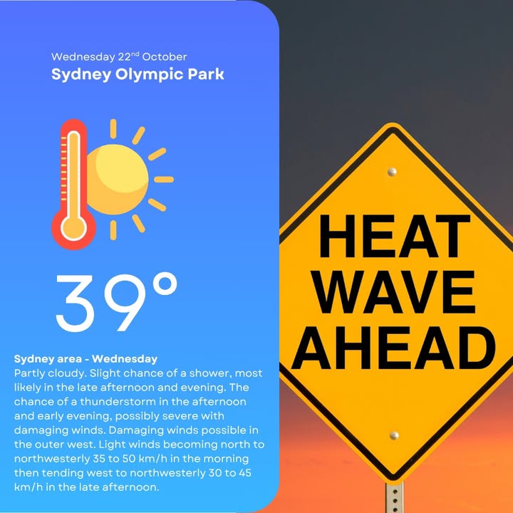 771790824743774_1324929169429934-1