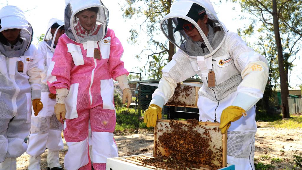 2019 Marian Catholic College Bees 01