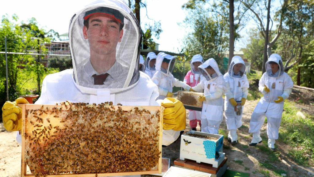 2019 Marian Catholic College Bees 02